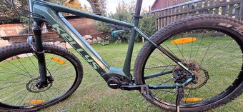 Kellys Tygon R50 - 6