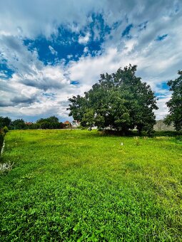 Prenájom viacerých jednotiek v Čakajovciach - 6