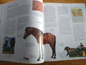 Obrazová encyklopedie koní (česky) - 20 eur - 6