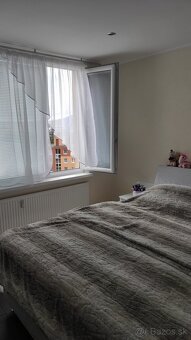 Prenájom 2 izbový byt - 6