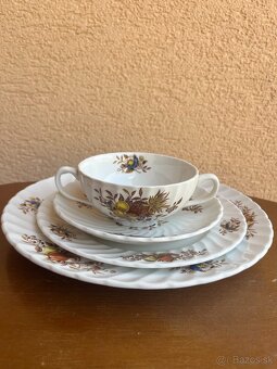 Anglický porcelán s farebným motívom ovocia a kvetov - 6