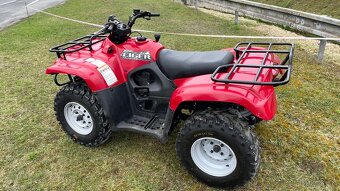 Suzuki eiger 400 - 6