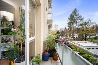 Krásny 1-izb. byt s veľkým balkónom – možnosť úpravy na 2+kk - 6