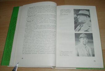 Slovenský čuvač - 6