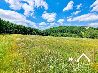 Veľkorysý, 2,5 ha pozemok za výbornú cenu - 6