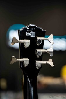 Washburn AB-95 - 6