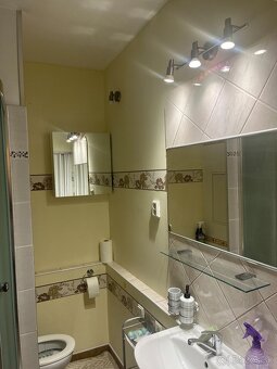 Prenajmem -1 izbový byt v Šali - 6