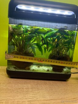 Predám akvárium 242812cm - 6