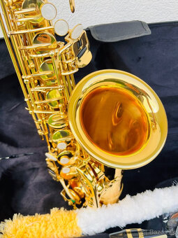 Predám nový Es- Alt saxofón LANG Music instrument - 6