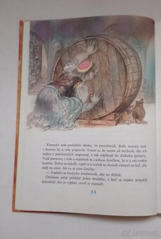 Rozmarínový kríček (Maja Boskovic - Stulli) - 6