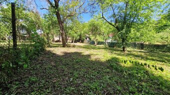 Vidiecky rod. dom pozemok 12 árov - 6