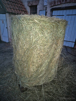 seno okrúhle balíky 130x130 - 6