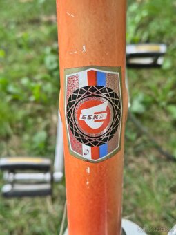 Eska bicykel - 6