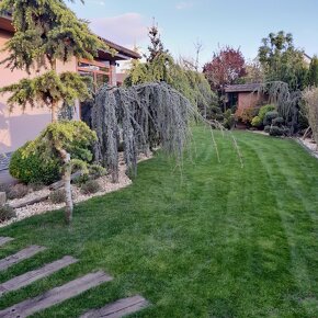 Zakladanie trávnika,Mulčovanie, úprava pôdy,kosenie, oranie, - 6