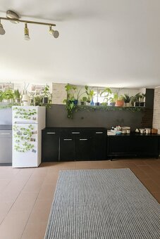 Rodinný dom s pozemkom 1090m2 / Nitrica - 6