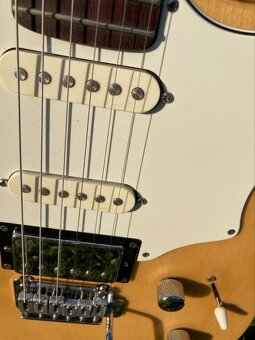 Godin session CANADA-USA - 6
