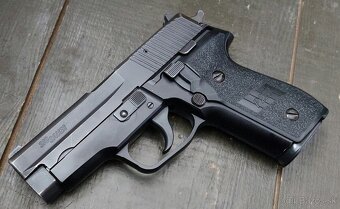 SIG SAUER SP 2022-P228 - 6