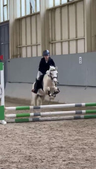 mladá perspektivní pony holčička - 6