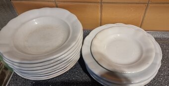 Hrubostenné taniere - 6