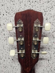 Gitara + kožené puzro - 6