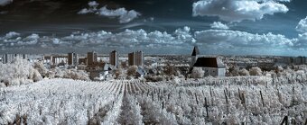 Olympus E-M1 - po IR konverzii 720 nm - 6