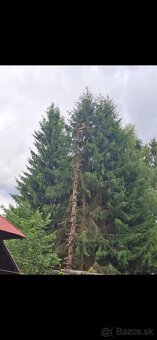 Rizikove pilenie, vyrub, arboristika, pilčicke prace - 6