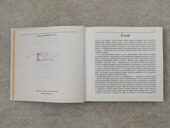 Človek vo vinici - 6