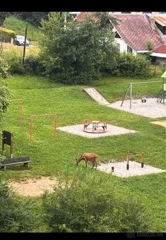 zariadený 1 izbový byt na prenájom Čadca - 6