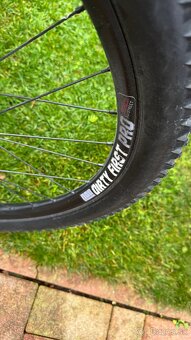 DIRT ROSE the BRUCE 26 Zoll - 6