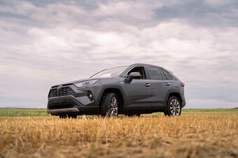 Toyota RAV4 2.5 Executive Hybrid - 6