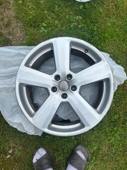 Alu R19 - 6