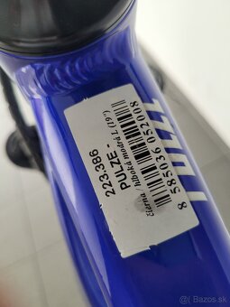 CTM Pulze 2023 - 6