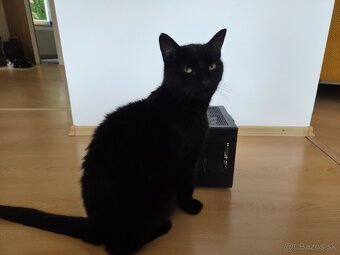 Predám PC skrinku SilverStone SG13 (čierna) - 6