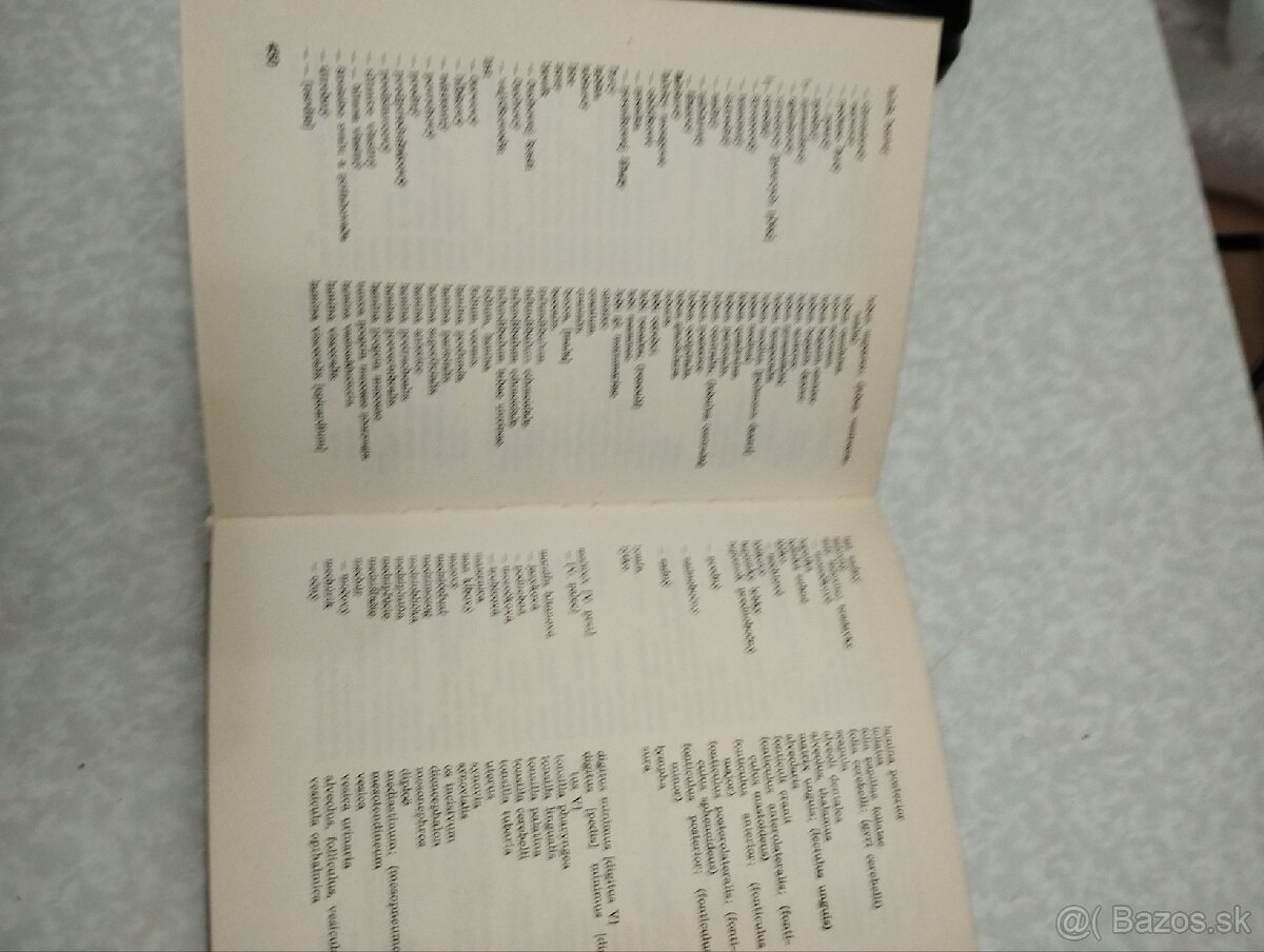 Anatomické názvoslovie - 7