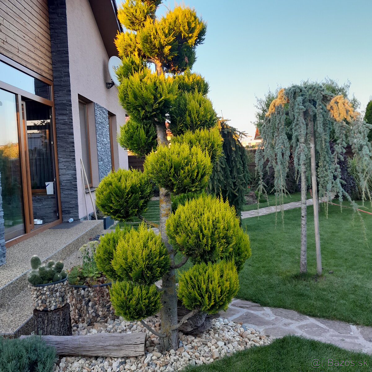 Zakladanie trávnika,Mulčovanie, úprava pôdy,kosenie, oranie, - 7