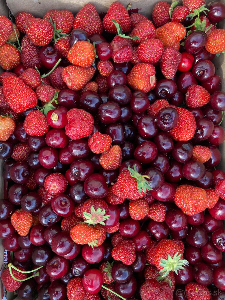 Stavebná parcela v obci Somotor - 7