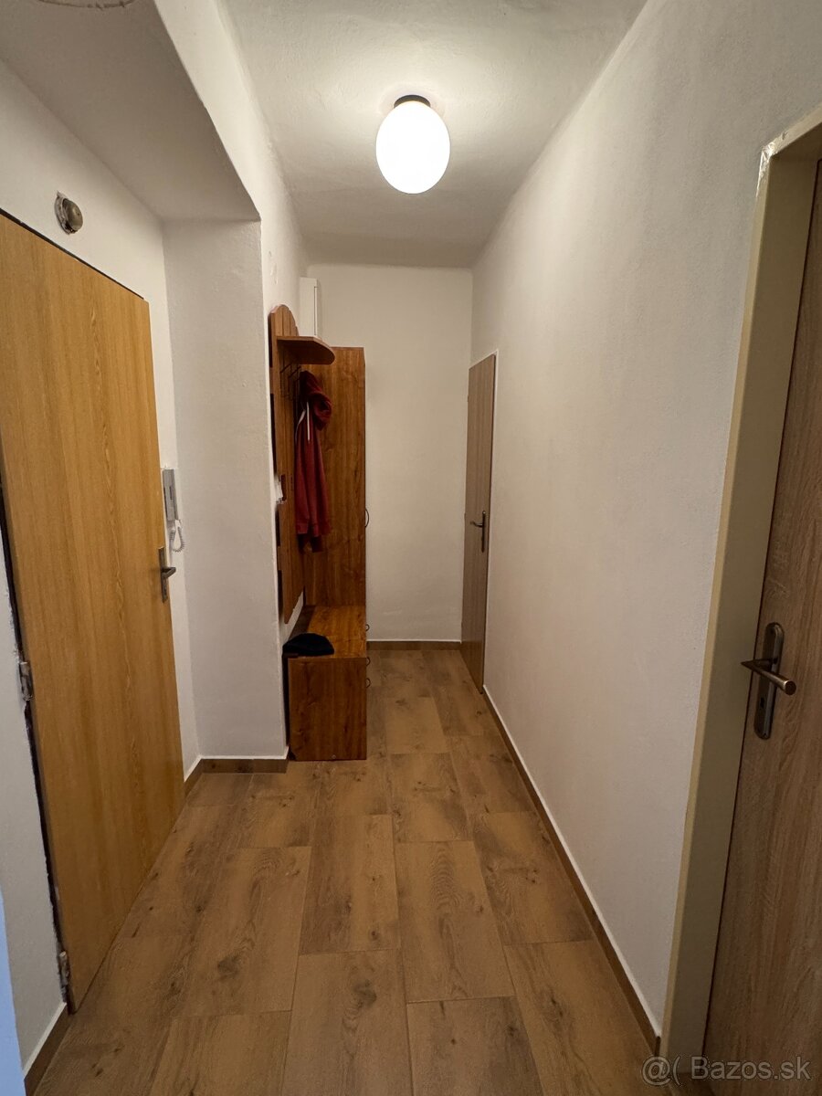 1 izbový tehlový byt po kompletnej rekonštrukcii na prenájom - 7