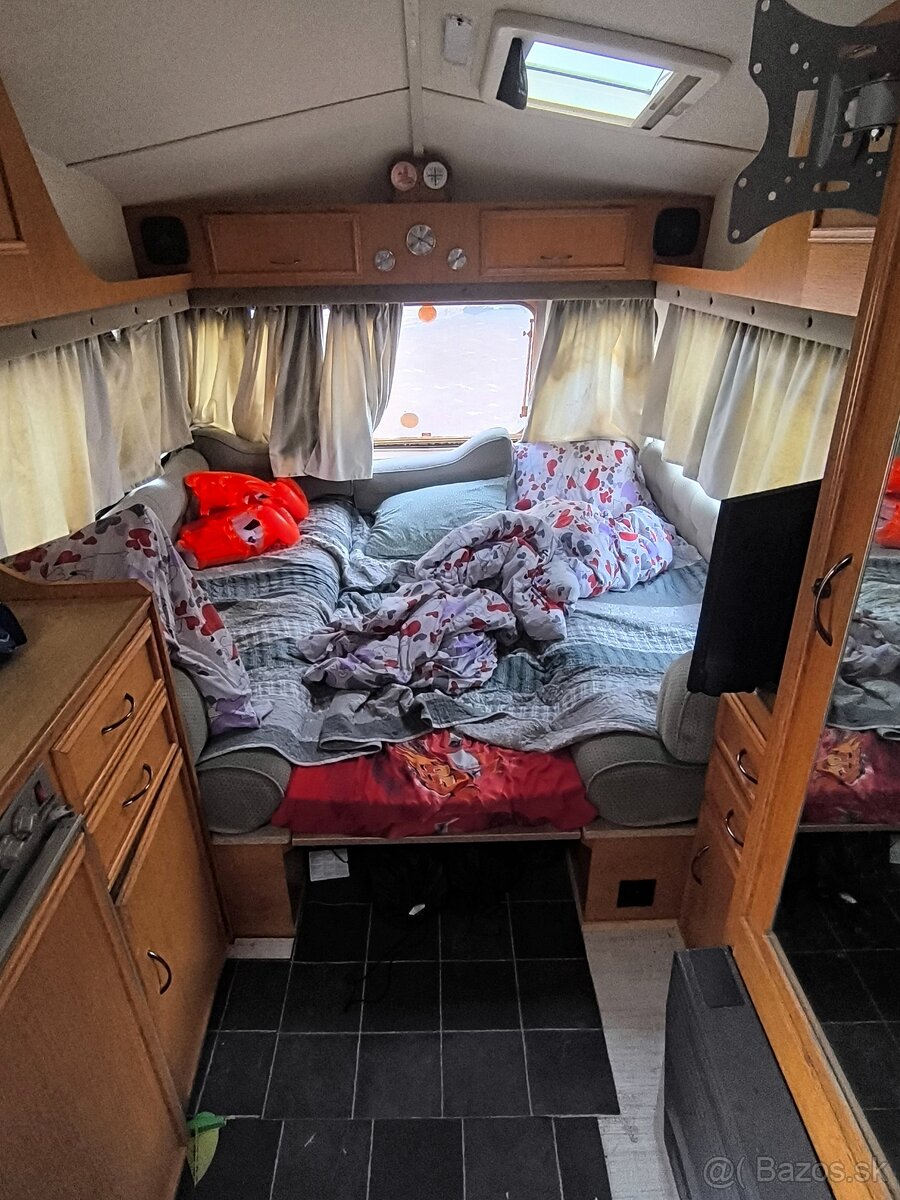 Castlton HL Rosella - 7