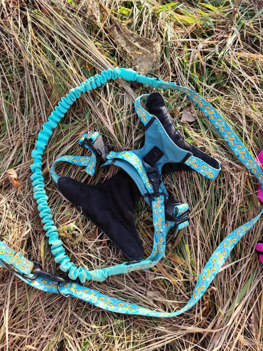 🛡️ Originálne handmade postroje a vodítka pre psov 🐾 - 7