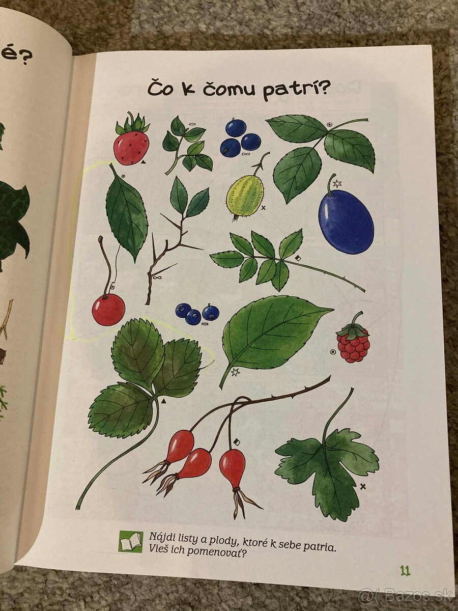 Ottova veľká kniha: Predškolák - 7