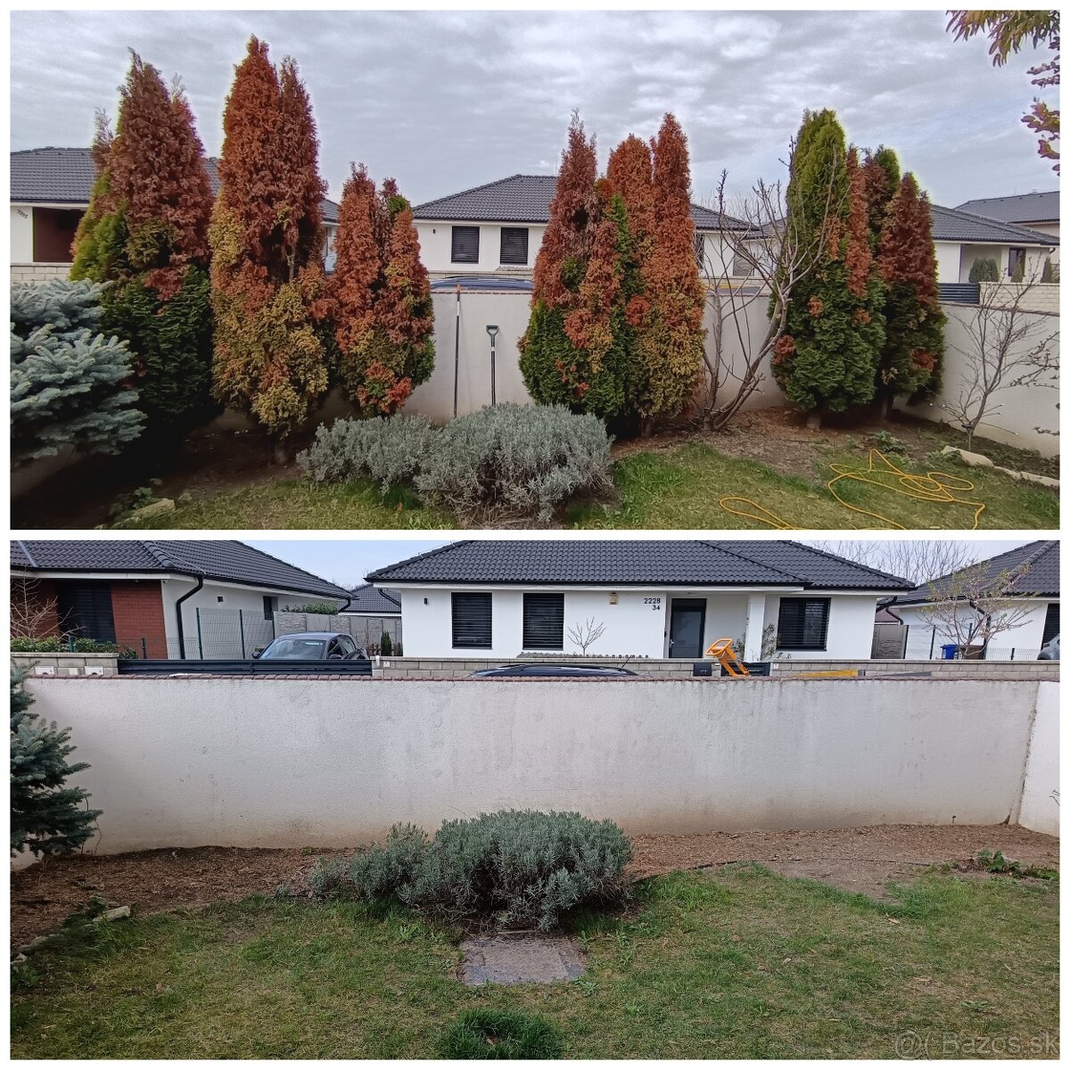 Frézovanie pňov a výrub - 7