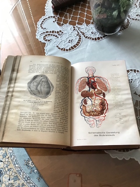 predám knihu Dr.MedJenny Springer roku 1930 - 7