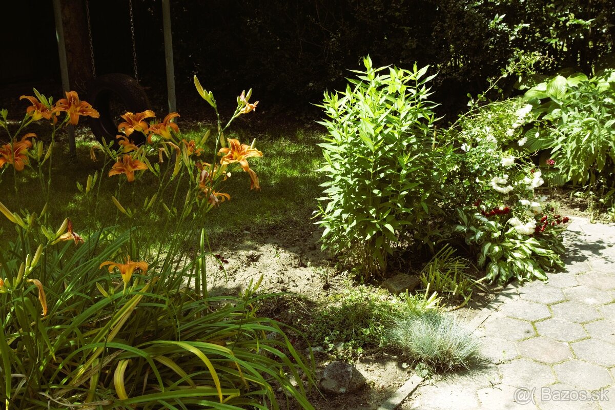 8 árový pozemok s chatou. - 7