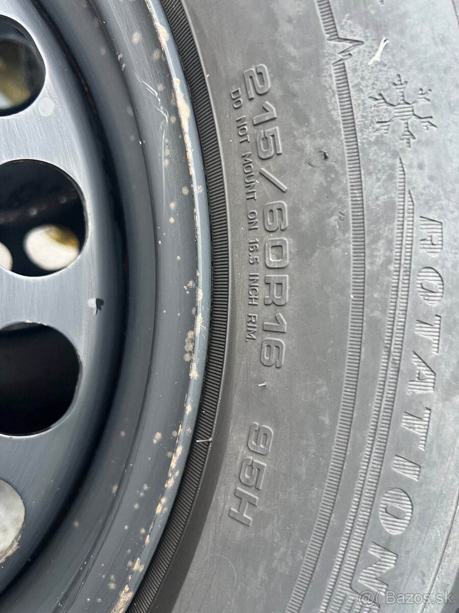 Zimna sada Superb 3 R16 - 7