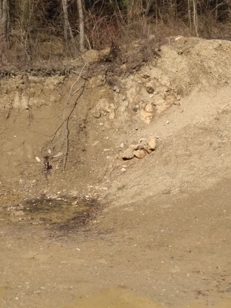 Ornica, zemina, hlina - 7