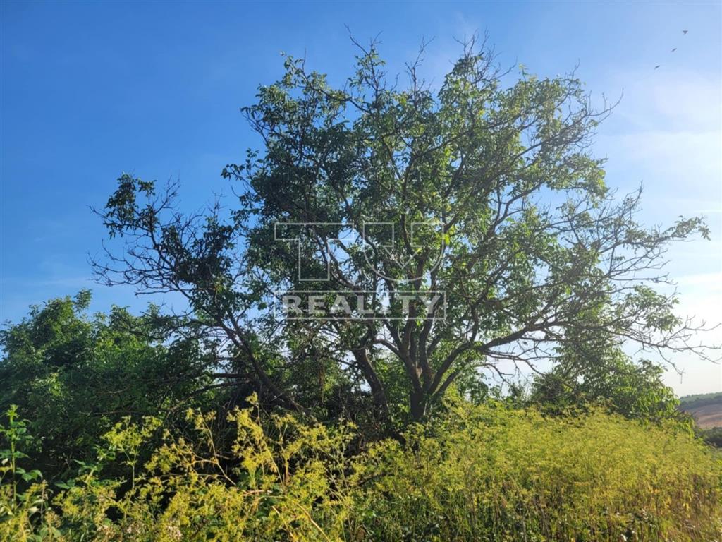 NA PREDAJ POZEMOK 741m2, BOŠÁCA - 7
