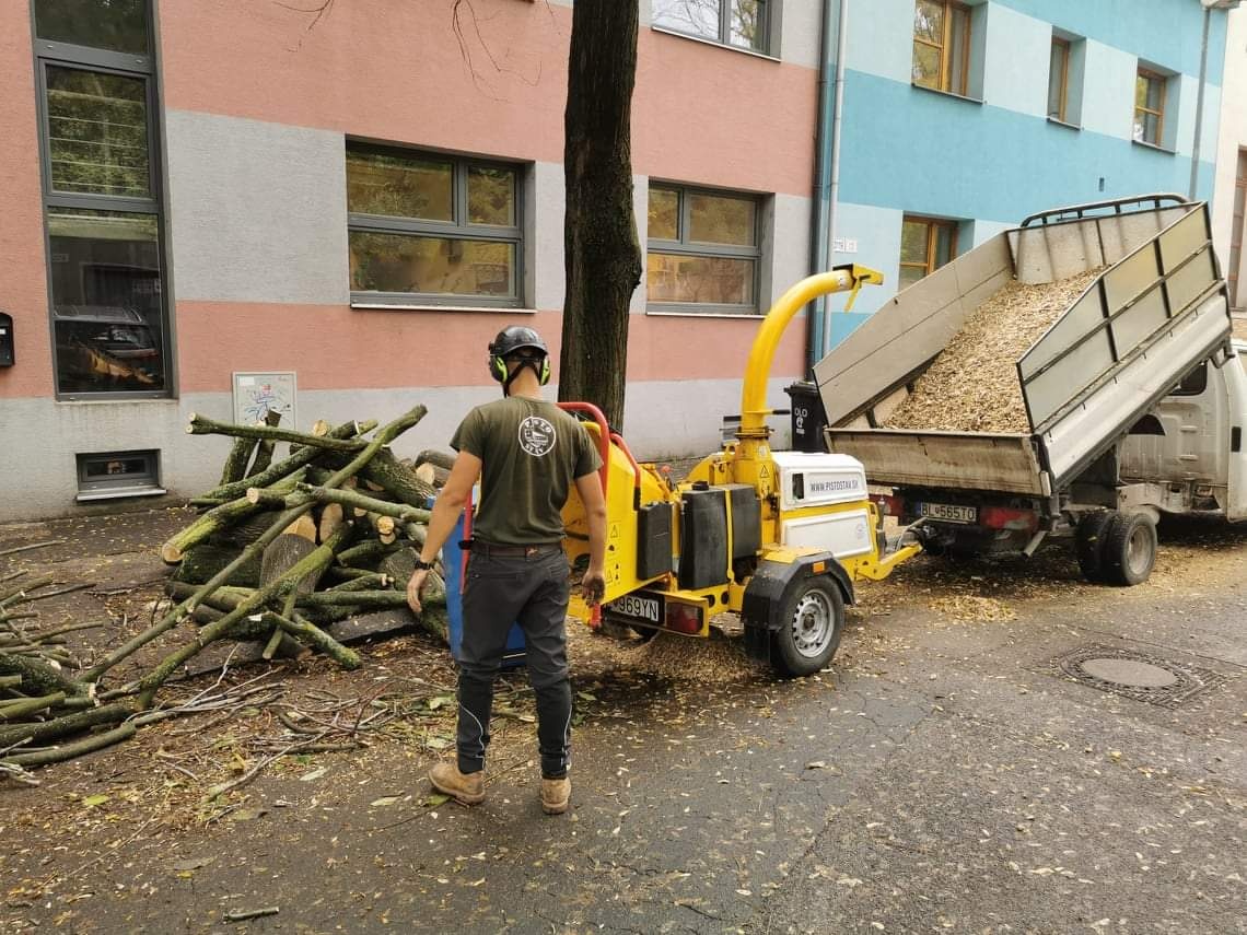 Výrub stromov, pílenie stromov, orez stromov, arboristika - 7