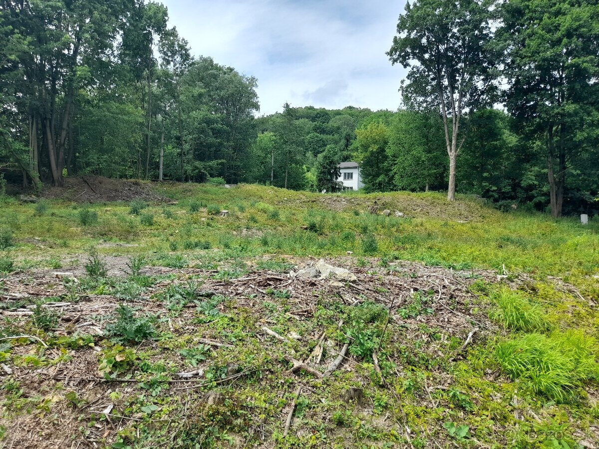 Na predaj pozemok v lone prírody - Ružín - 7