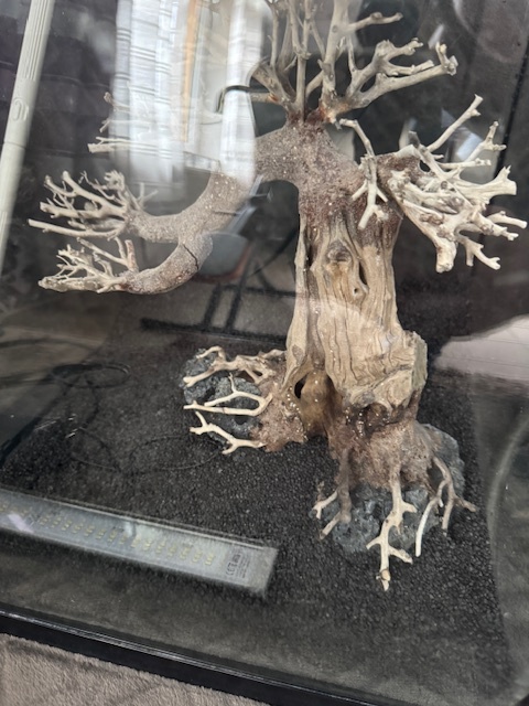 Invital akváriou 40 l - 7