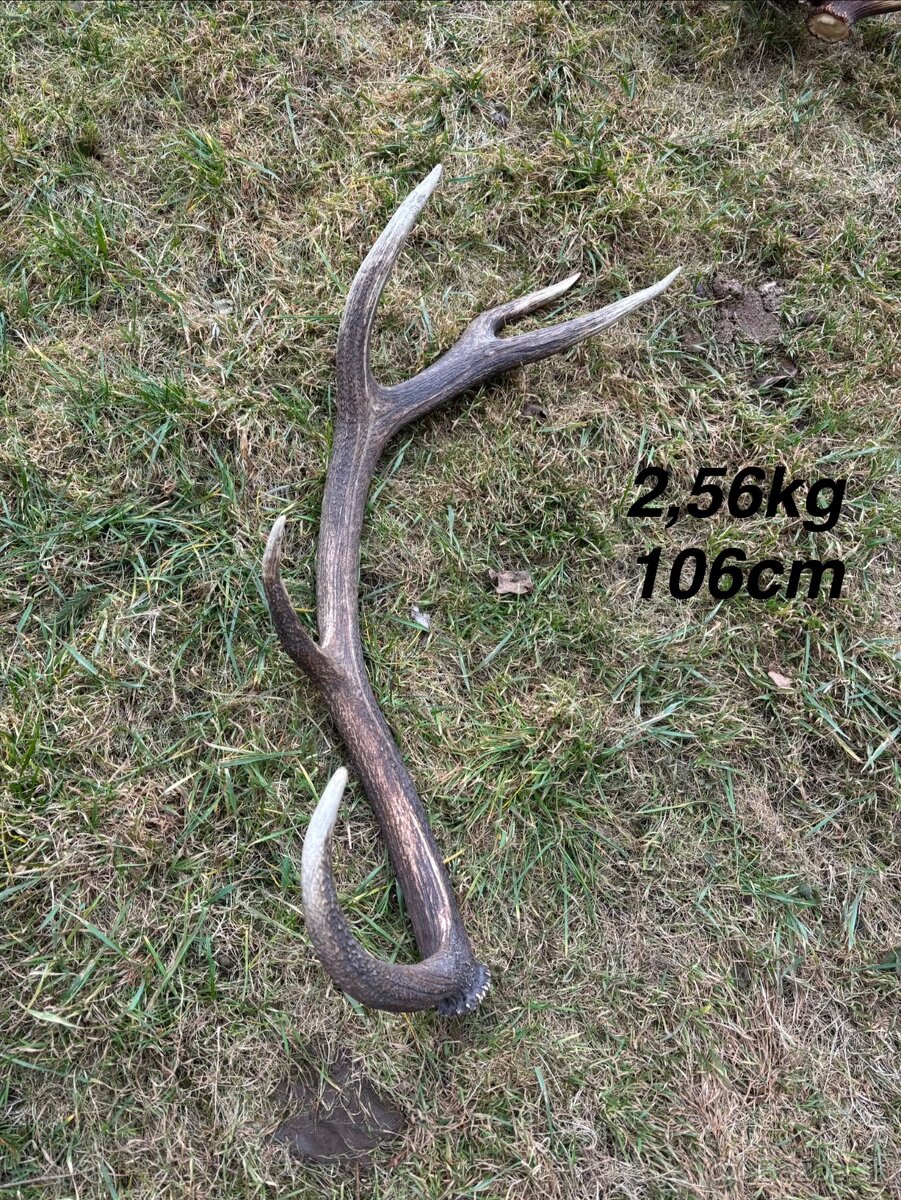 Parohy,parožie,zhody - 7